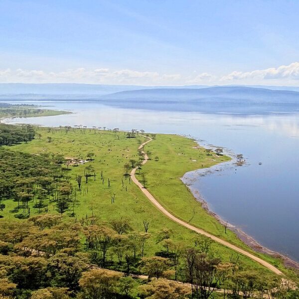 4 Days Lake Nakuru Masai mara Tour